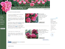 Tablet Screenshot of peonynursery.com